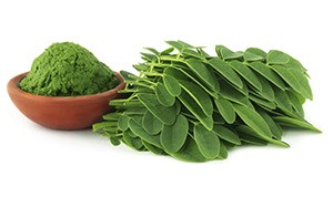 green superfoods moringa
