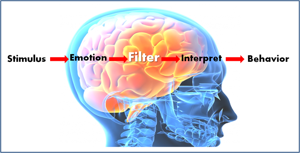 brain-filter